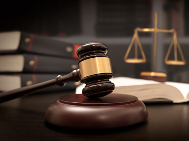 Court Check Service Provider in India